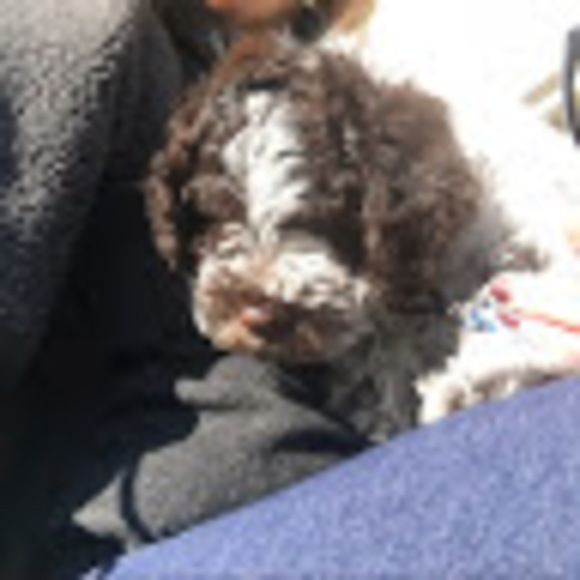 Meet your Posher, Sheryl - Picture 1 of 1